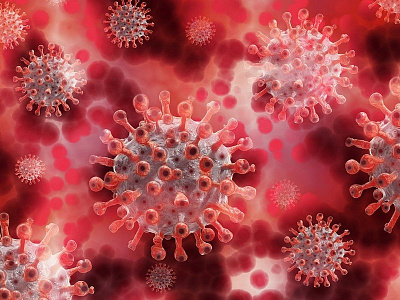 В Рязанской области за прошедшие сутки коронавирус выявили у 217 человек