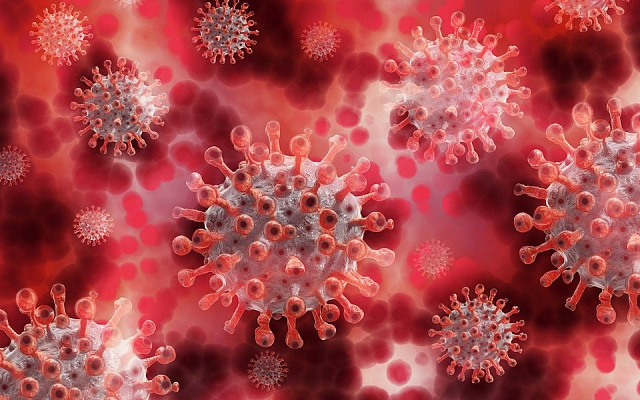 В Рязанской области за прошедшие сутки коронавирус выявили у 217 человек - 62ИНФО