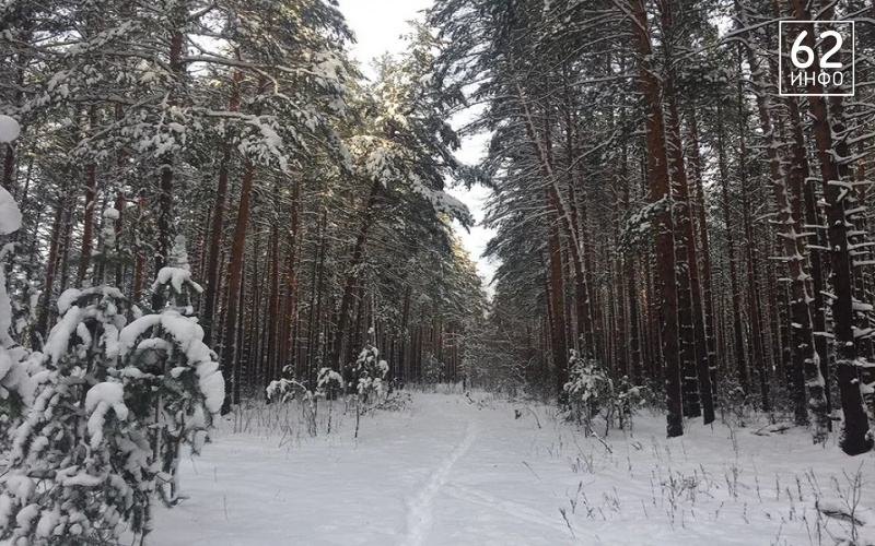 МЧС выпустило метеопредупреждение из-за экстремальной погоды в Рязанской области - 62ИНФО