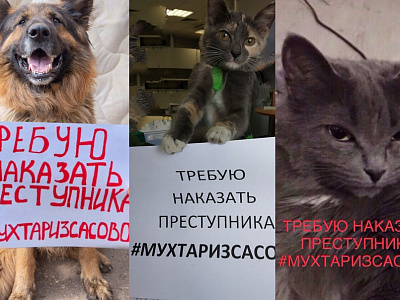 #мухтаризсасово. Рязанцы запустили флешмоб с требованием наказать хозяина раненой собаки 