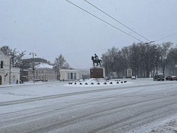 Рязанцы сфотографировали заснеженный Кремлёвский парк
