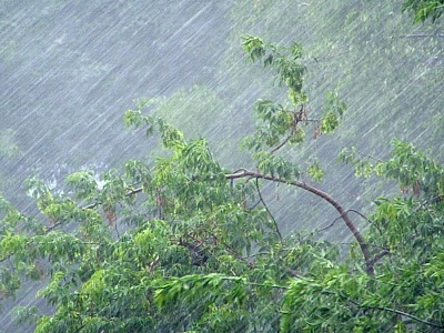 В Рязанской области объявили метеопредупреждение из-за грозы и дождя 