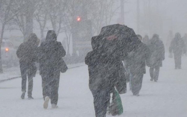 В Рязанской области продлили метеопредупреждение из-за снега и сильного ветра   - 62ИНФО