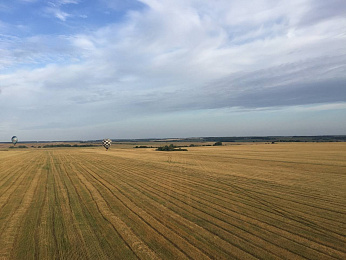 Фоторепортаж: пилоты «Неба России» пролетели на воздушных шарах над Рязанской областью