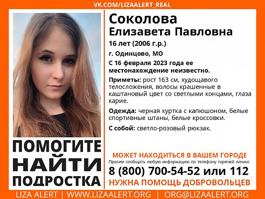 В Рязанской области ищут 16-летнюю девочку из Подмосковья  - 62ИНФО