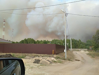 Фоторепортаж: лесной пожар в Деулино