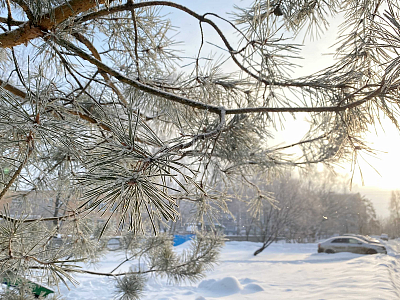 5 декабря в Рязанской области ожидается до -12 градусов днём